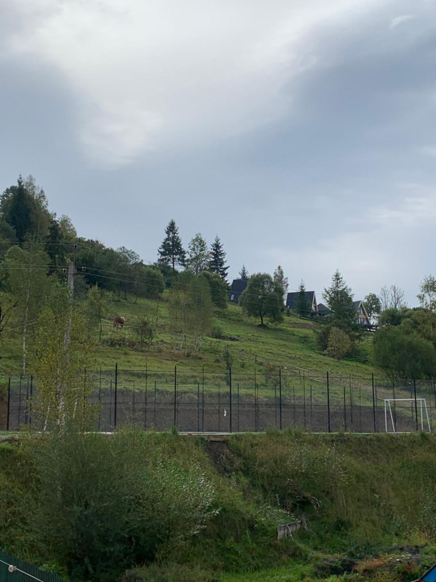 Villa Аура Карпат Slawske Exterior foto
